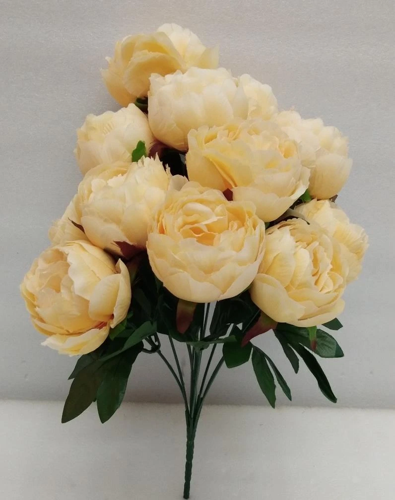 Peony Bunch x12